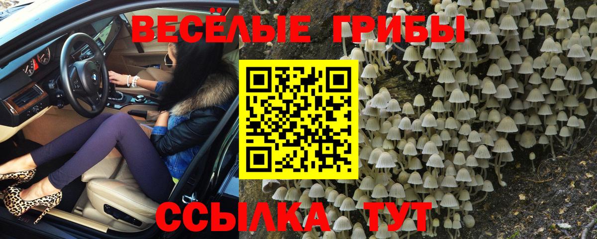Псилоцибиновые грибы Psilocybine cubensis  Галлюциногенные грибы ЛСД  Вход с VPN  Кушва 